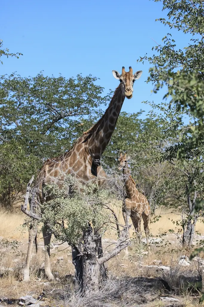 Namibia02-1151.jpg