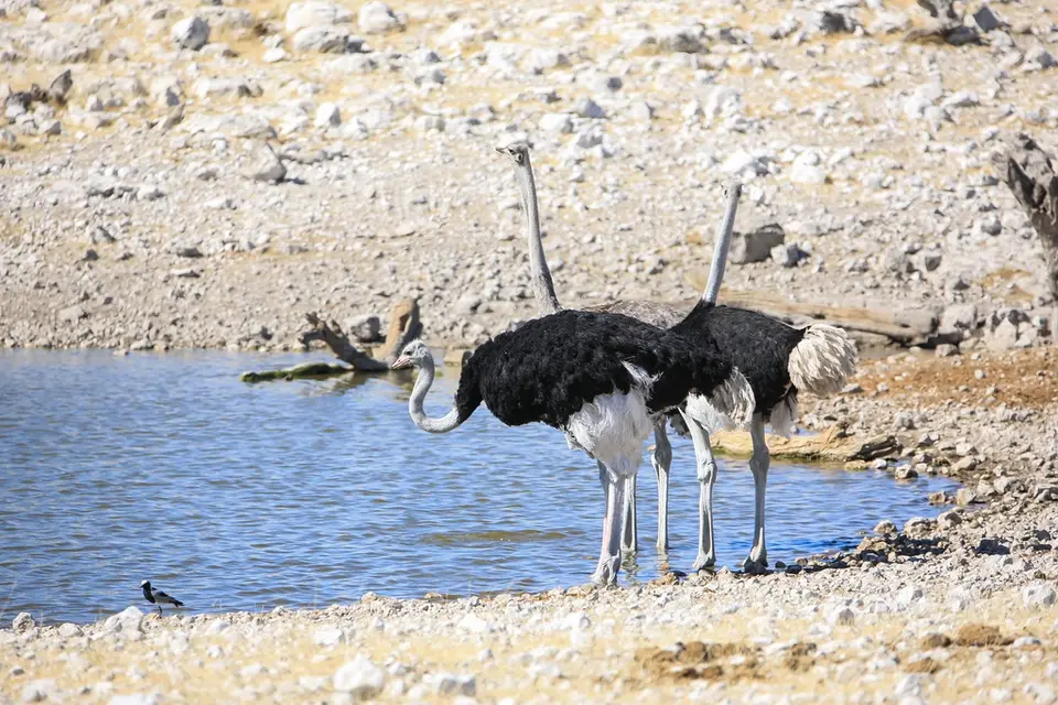 Namibia02-1157.jpg