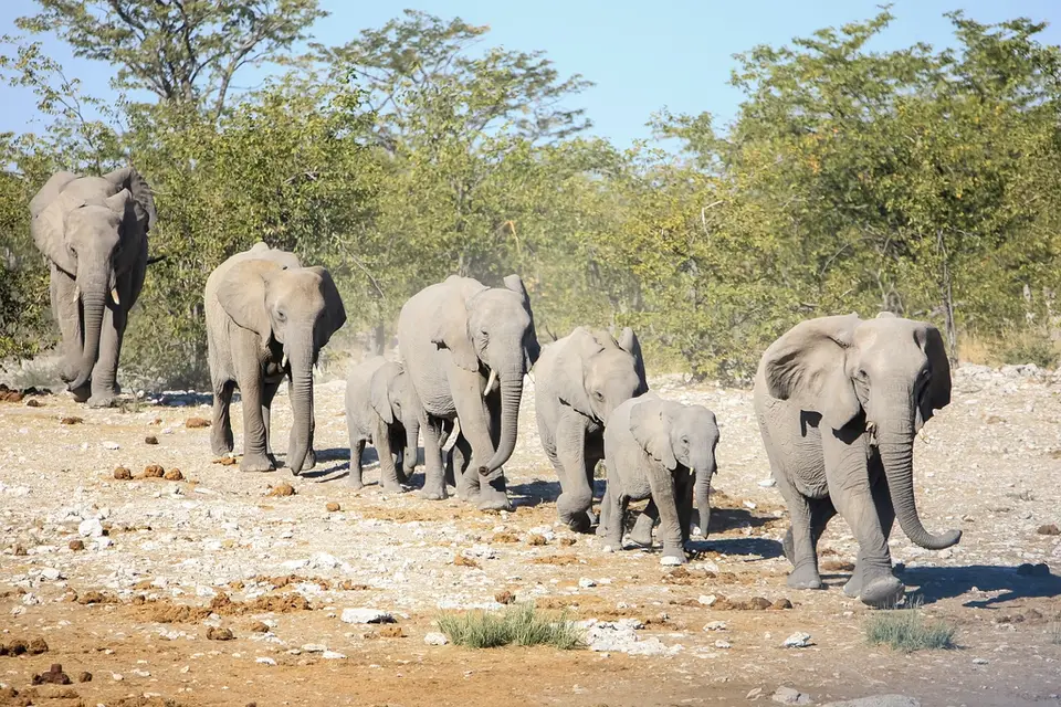 Namibia02-1209.jpg
