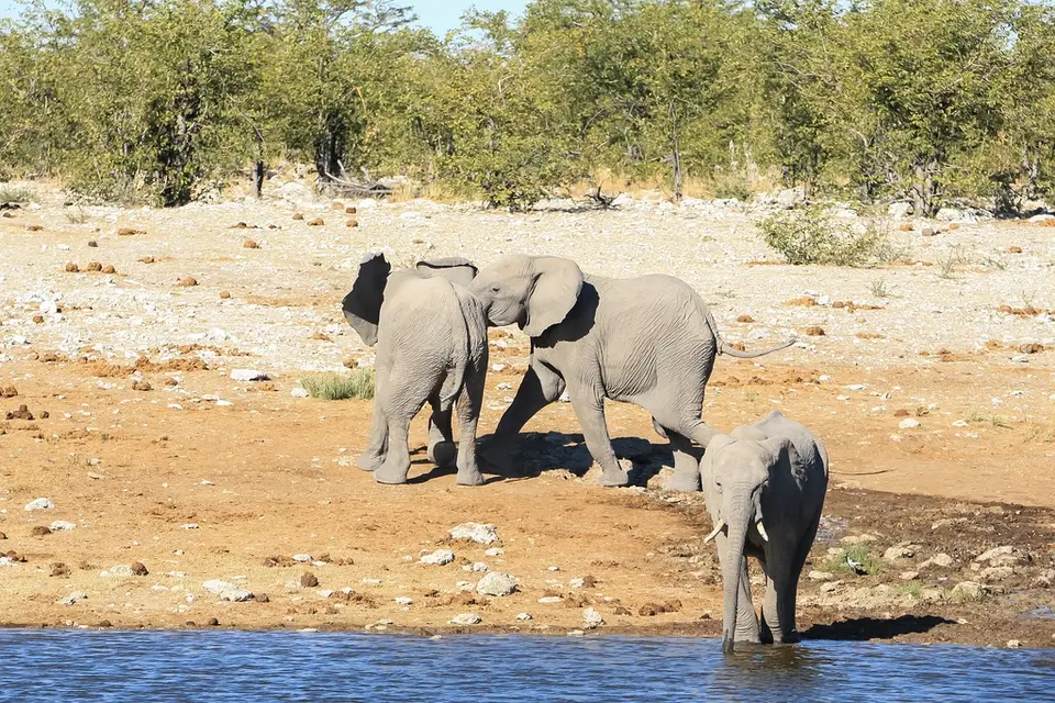 Namibia02-1211.jpg