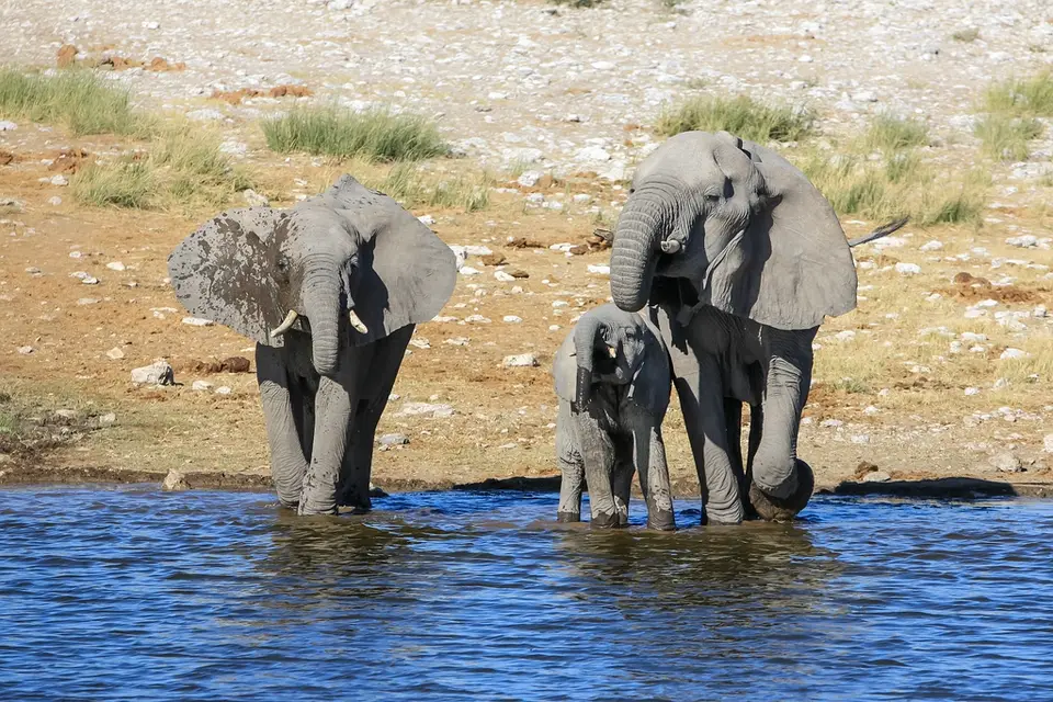 Namibia02-1216.jpg