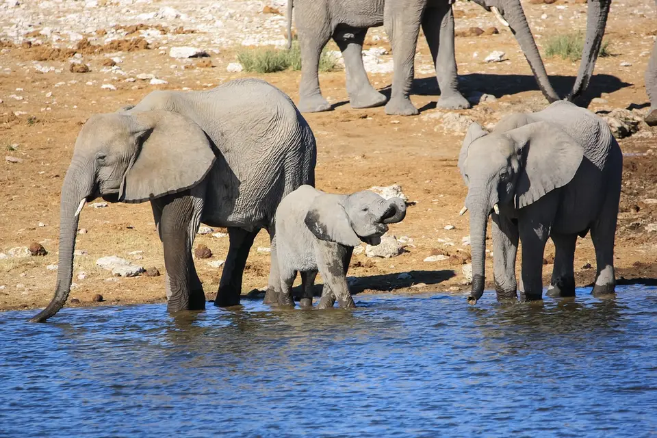 Namibia02-1221.jpg