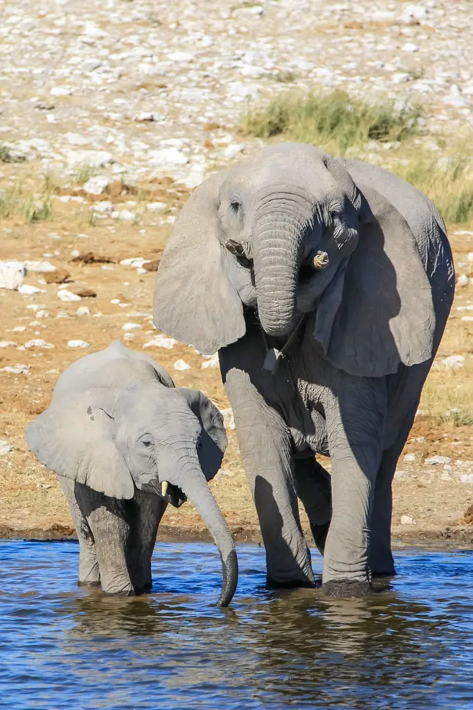 Namibia02-1226.jpg