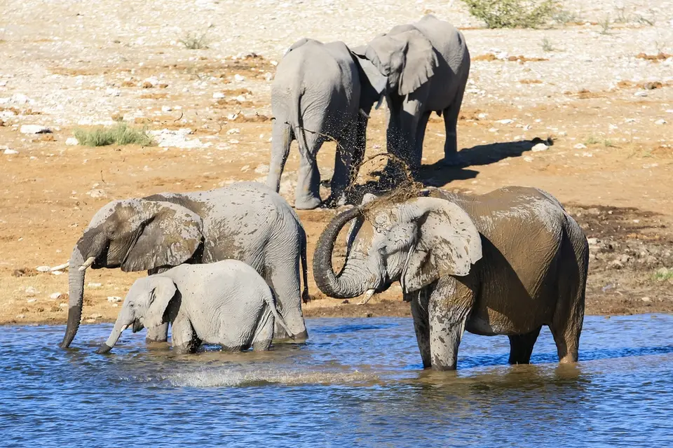 Namibia02-1246.jpg