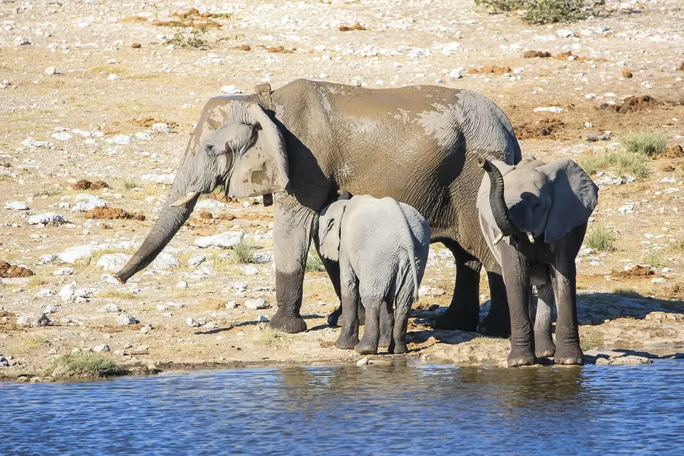 Namibia02-1253.jpg