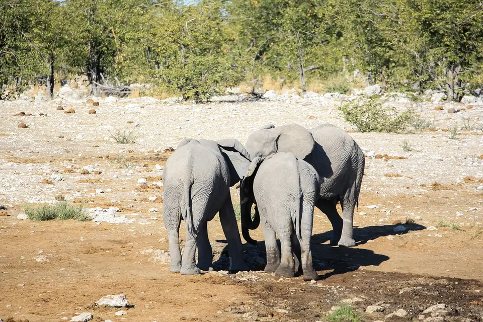 Namibia02-1255.jpg