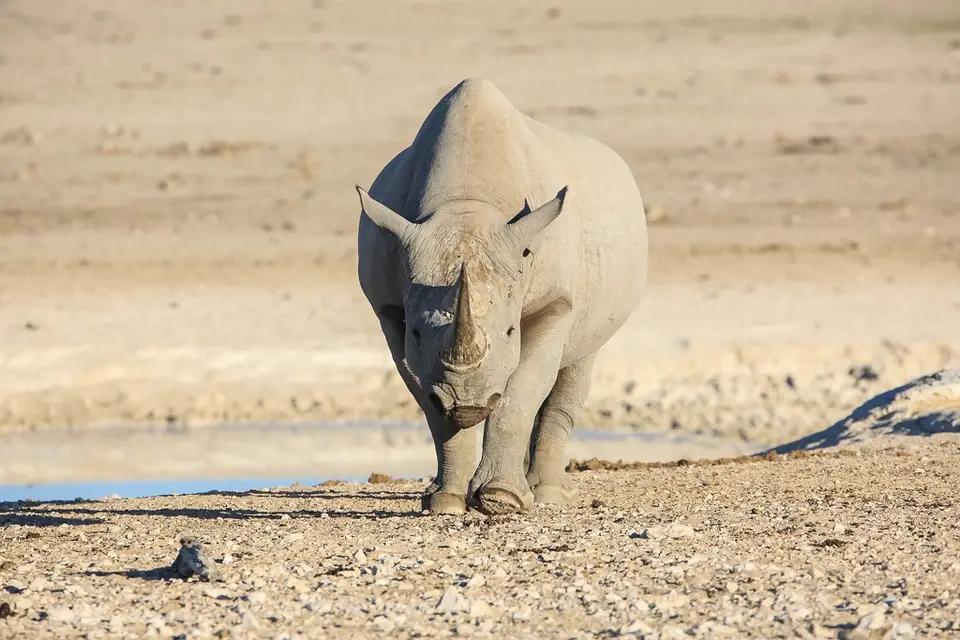 Namibia02-1273.jpg