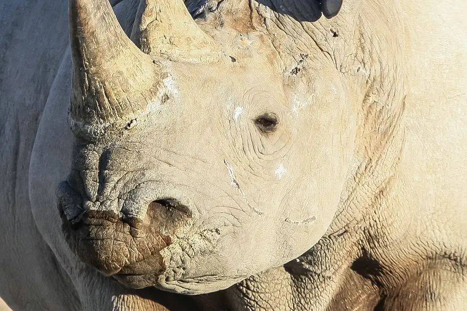Namibia02-1279.jpg