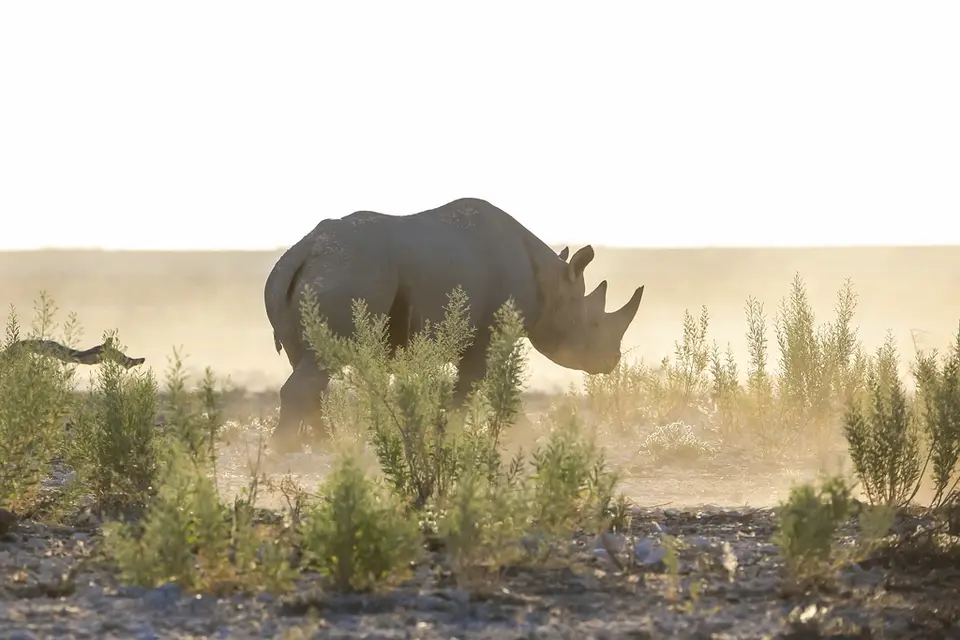 Namibia02-1287.jpg
