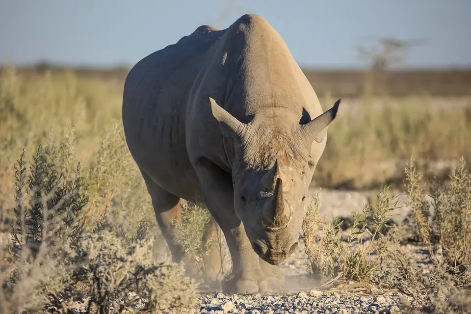 Namibia02-1300.jpg