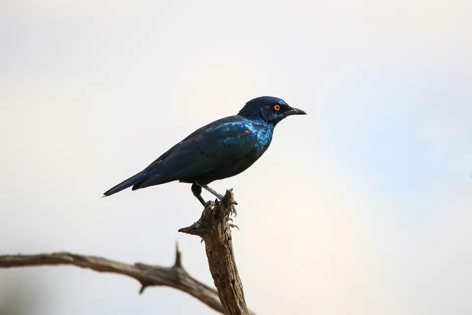 Namibia02-136.jpg