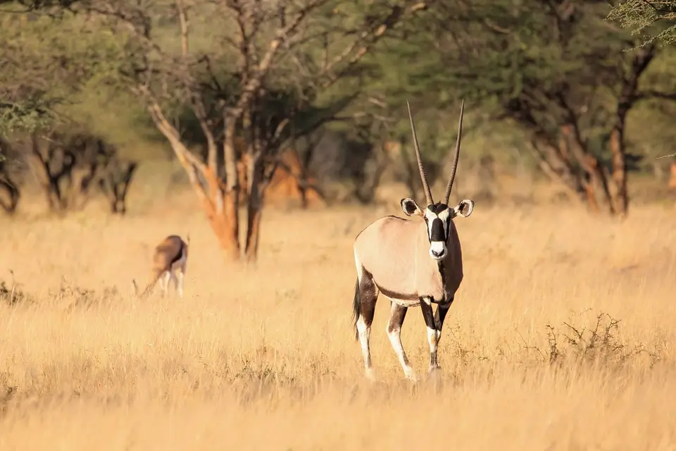 Namibia02-181.jpg