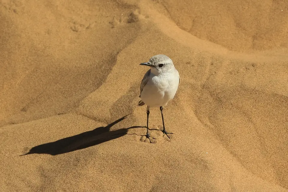 Namibia02-1900.jpg
