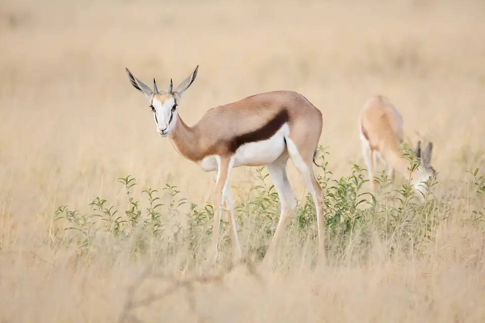 Namibia02-205.jpg