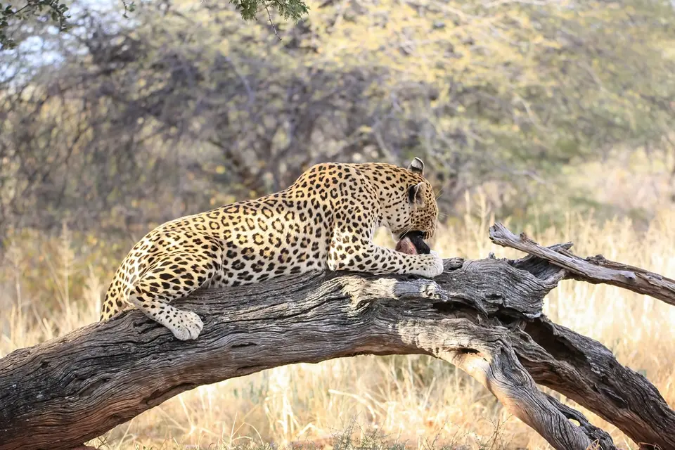 Namibia02-341.jpg