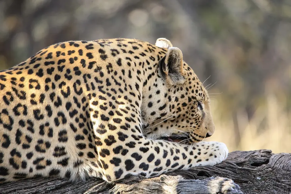 Namibia02-345.jpg
