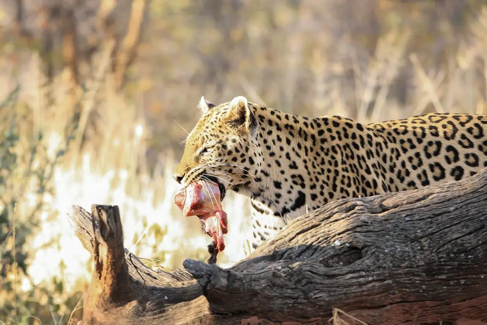 Namibia02-352.jpg