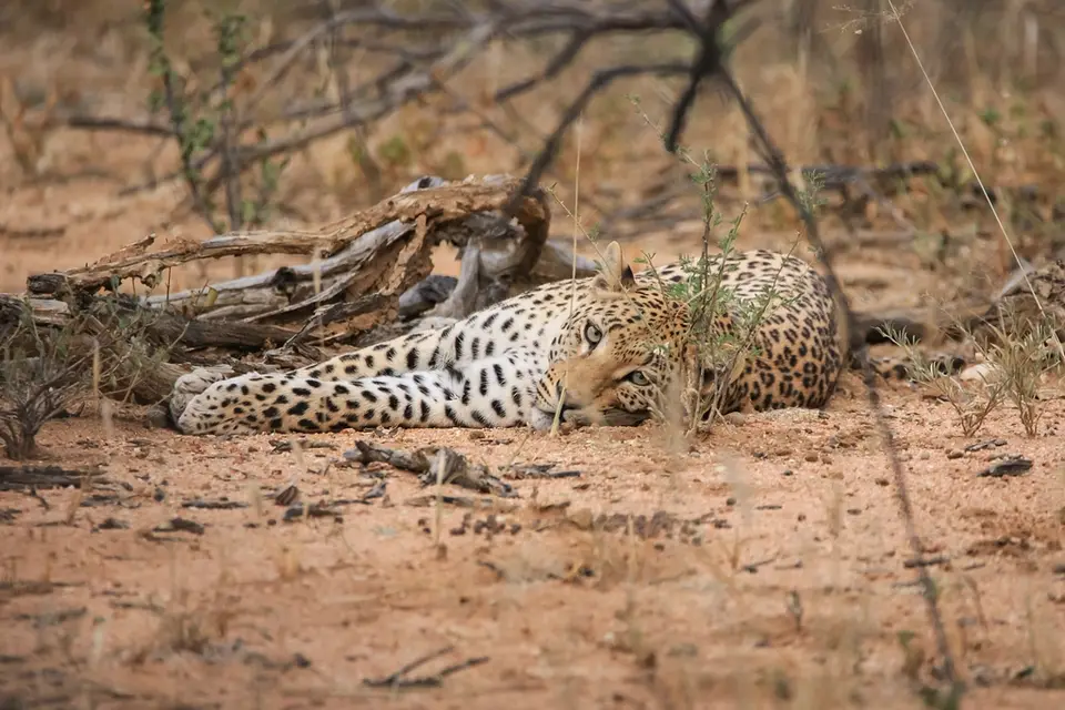 Namibia02-4.jpg