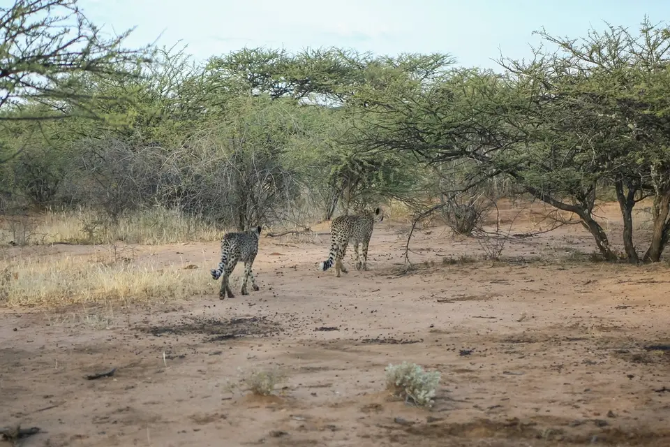Namibia02-41.jpg