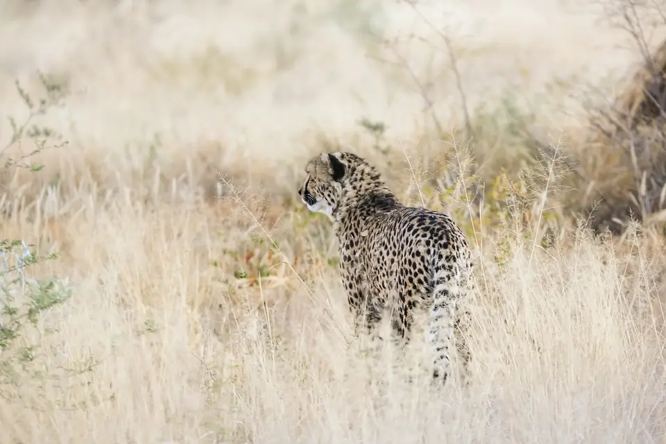 Namibia02-428.jpg