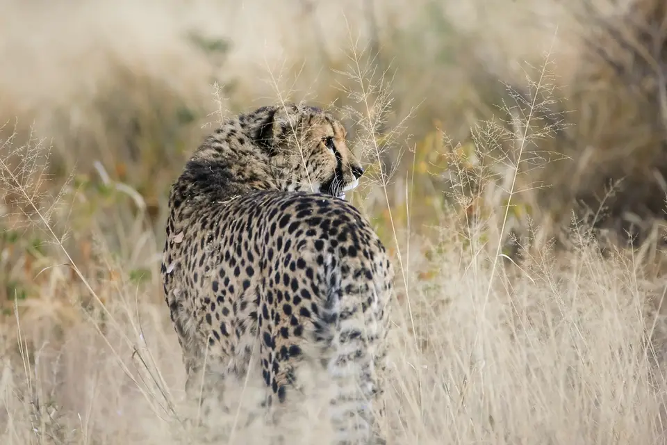Namibia02-431.jpg