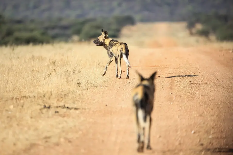 Namibia02-535.jpg