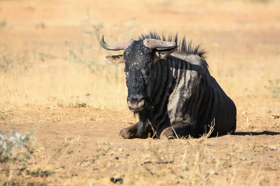 Namibia02-539.jpg