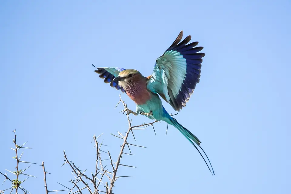 Namibia02-560.jpg