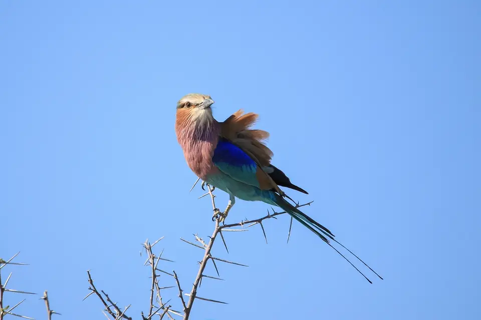 Namibia02-564.jpg