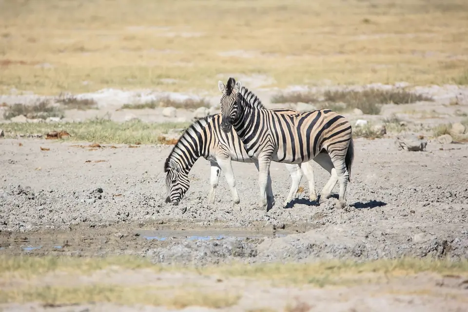 Namibia02-591.jpg