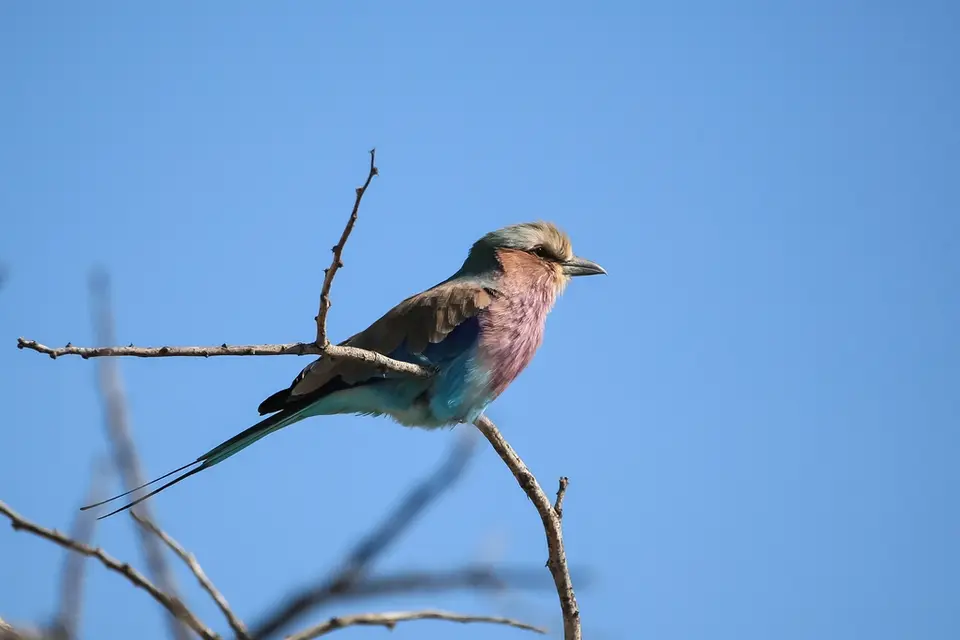 Namibia02-609.jpg