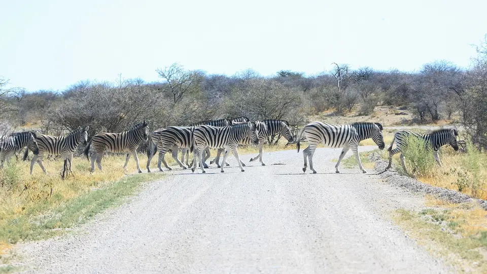 Namibia02-624.jpg