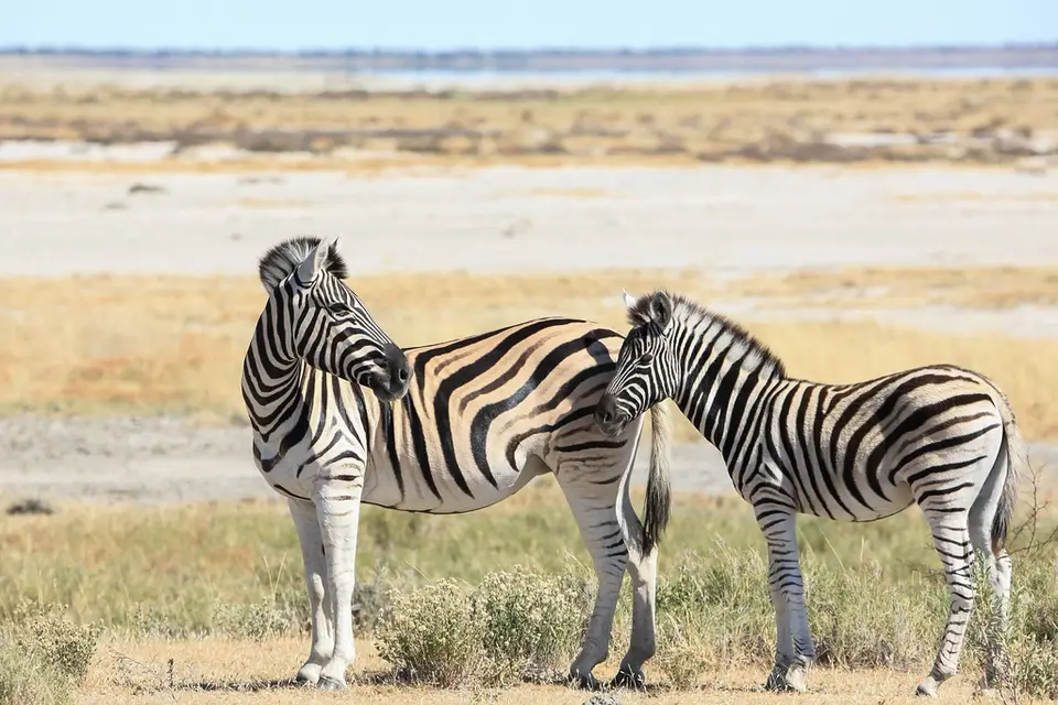 Namibia02-625.jpg
