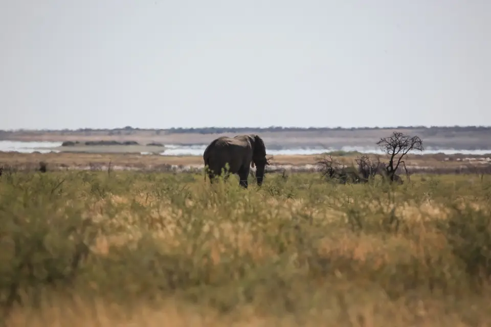 Namibia02-635.jpg