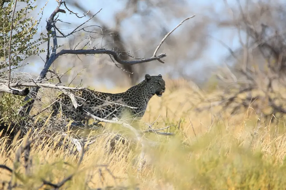 Namibia02-644.jpg