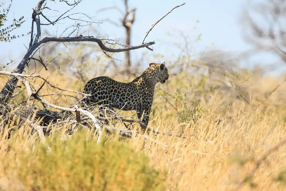 Namibia02-649.jpg