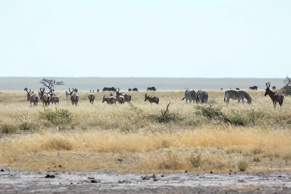 Namibia02-657.jpg