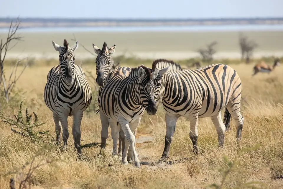 Namibia02-659.jpg