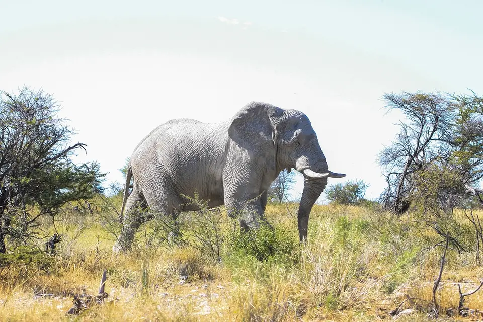 Namibia02-673.jpg