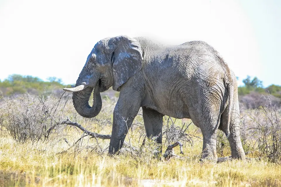 Namibia02-679.jpg