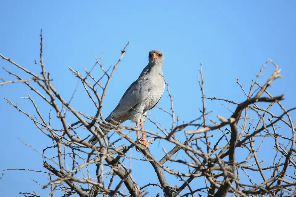 Namibia02-695.jpg