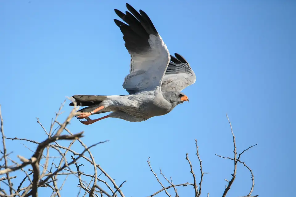 Namibia02-697.jpg