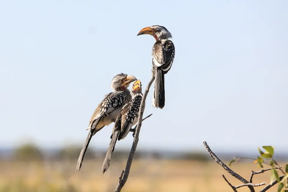 Namibia02-722.jpg