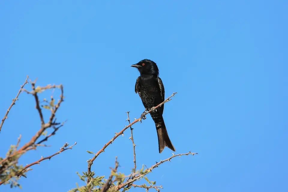 Namibia02-748.jpg