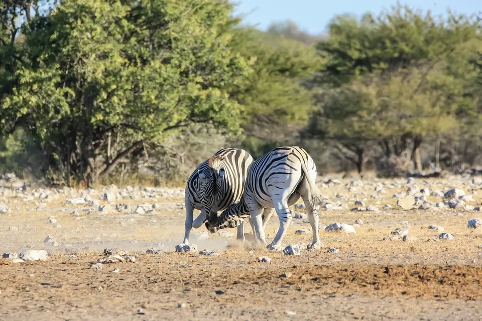 Namibia02-783.jpg
