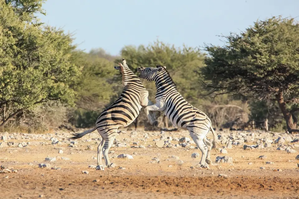 Namibia02-789.jpg