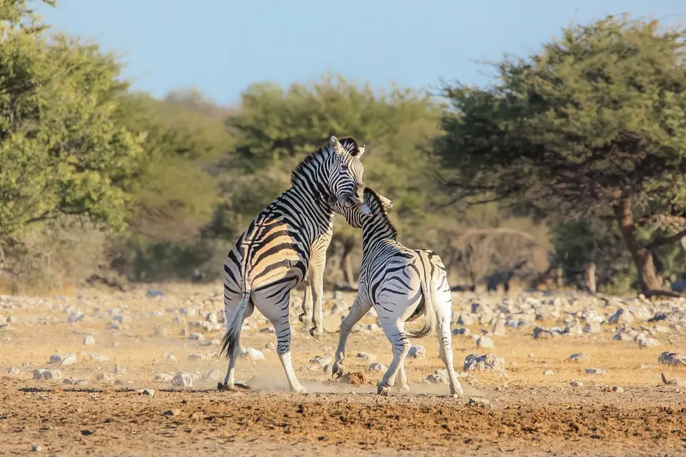 Namibia02-802.jpg