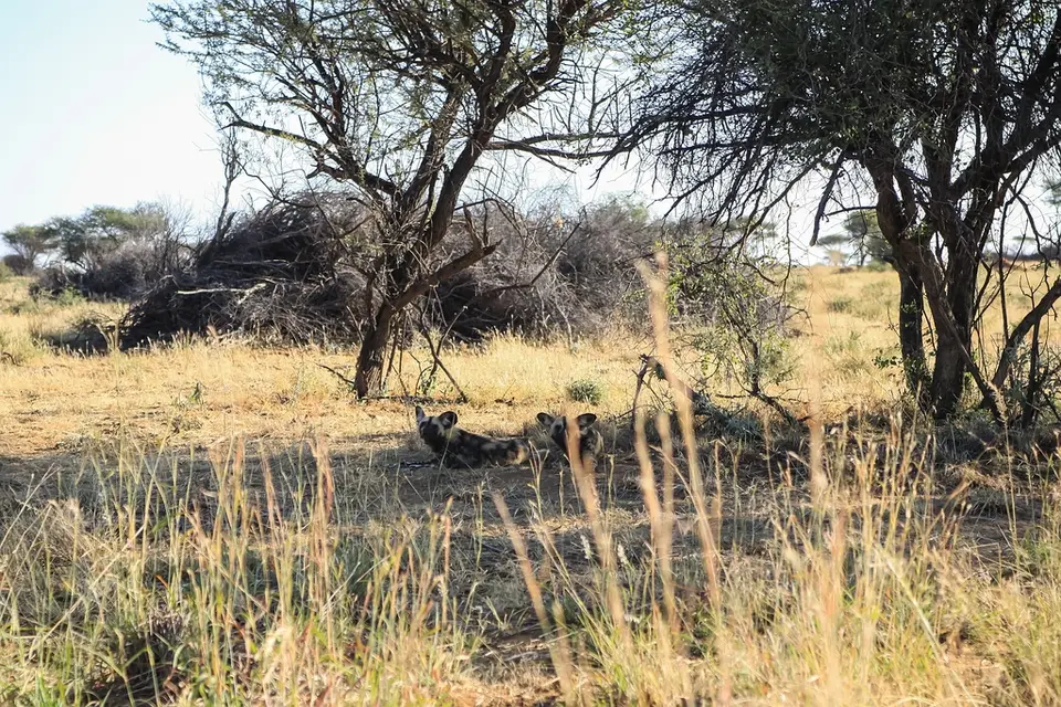 Namibia02-81.jpg