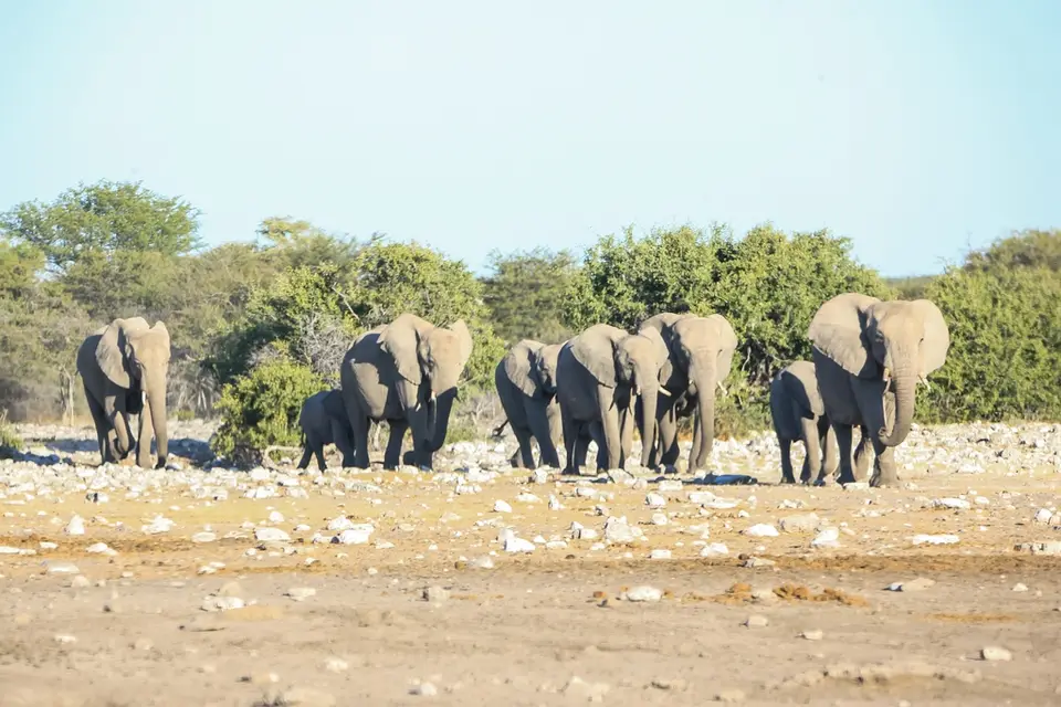 Namibia02-813.jpg