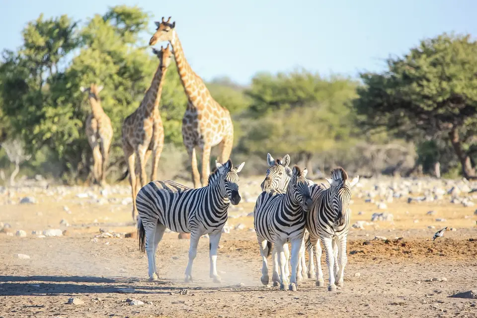 Namibia02-815.jpg